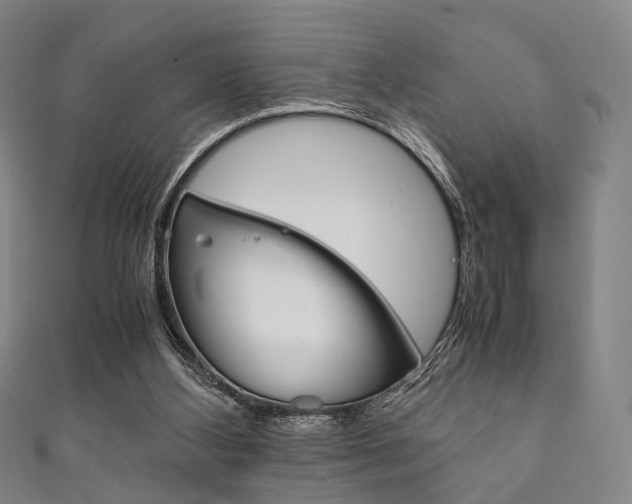 X0000111860108200907231139
