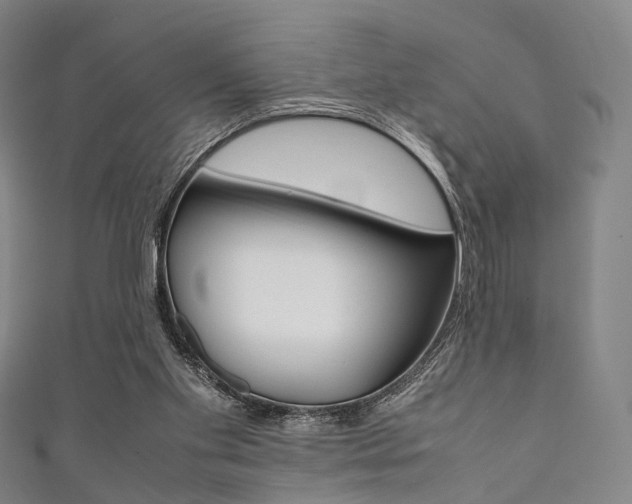 X0000111860109200907231139