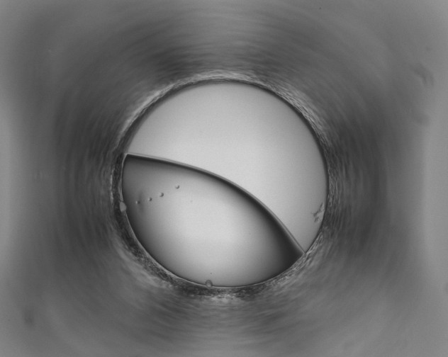 X0000111860112200907231139
