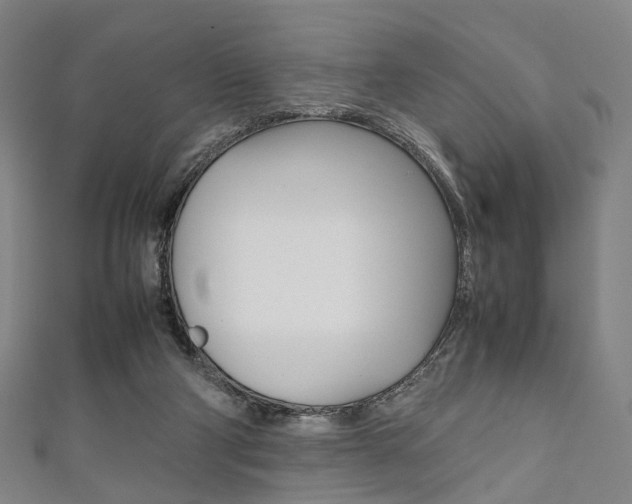 X0000111860114200907231138