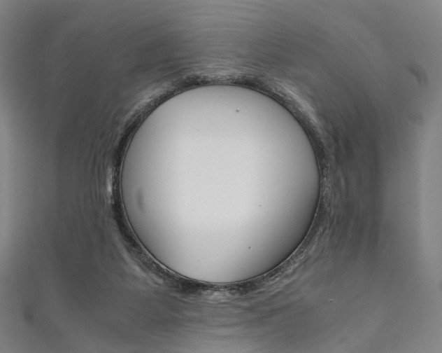 X0000111860115200907231138