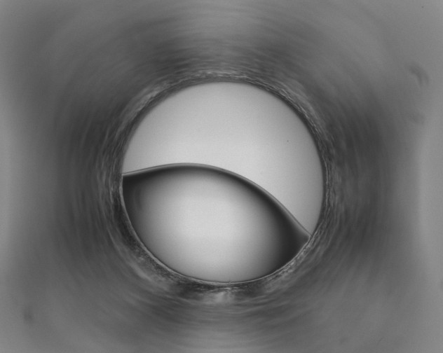 X0000111860116200907231138