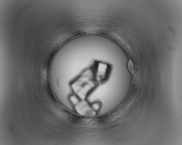 X0000111860117200907231138