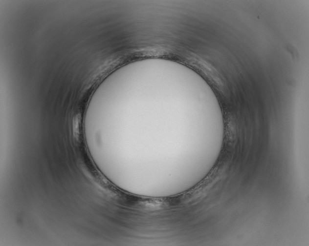 X0000111860118200907231138