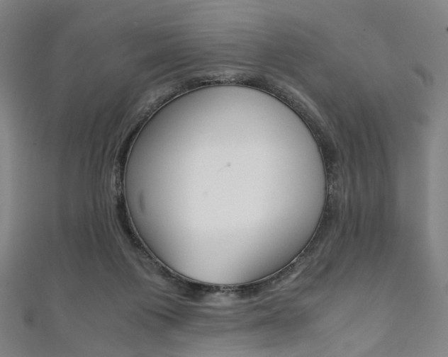 X0000111860119200907231138
