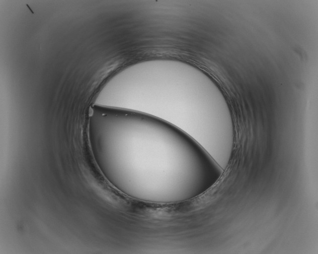 X0000111860120200907231138
