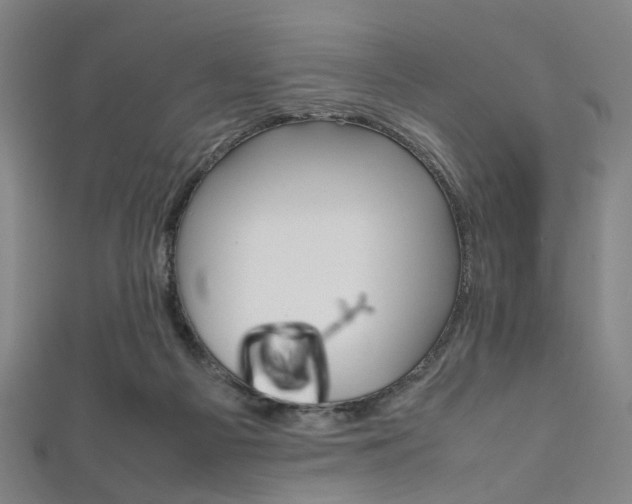 X0000111860121200907231138