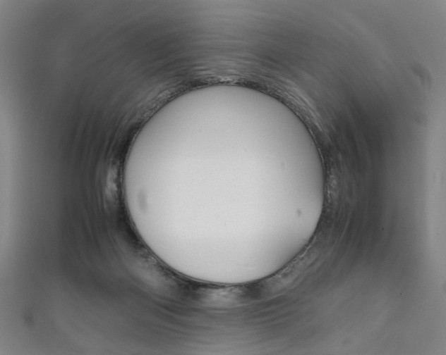 X0000111860122200907231138