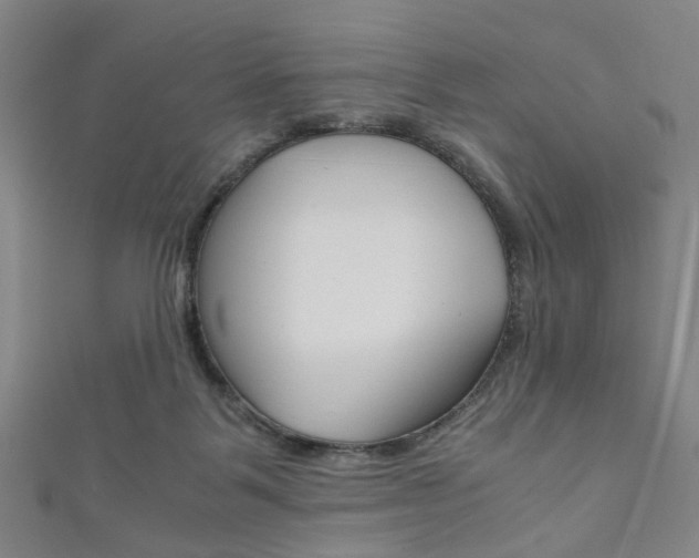 X0000111860123200907231138