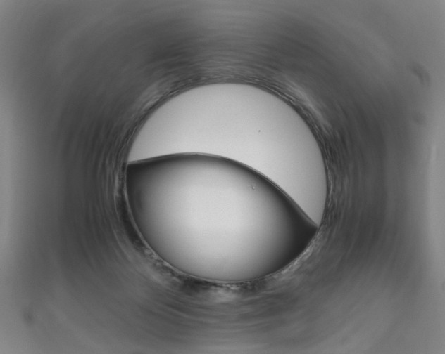 X0000111860124200907231138