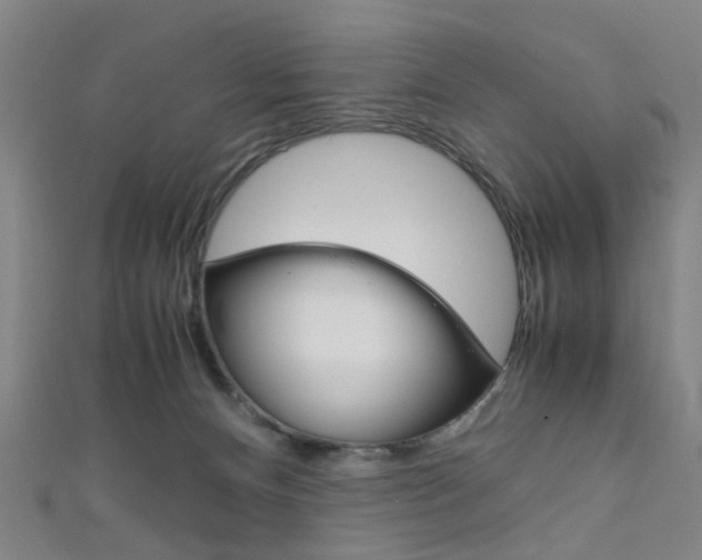 X0000111860128200907231138