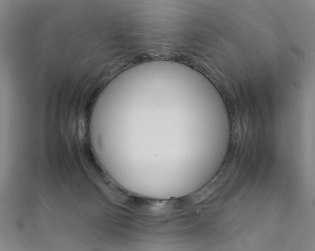X0000111860130200907231138