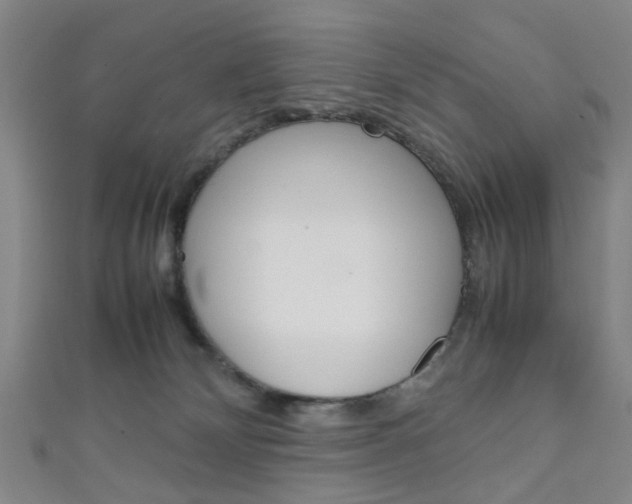 X0000111860132200907231138