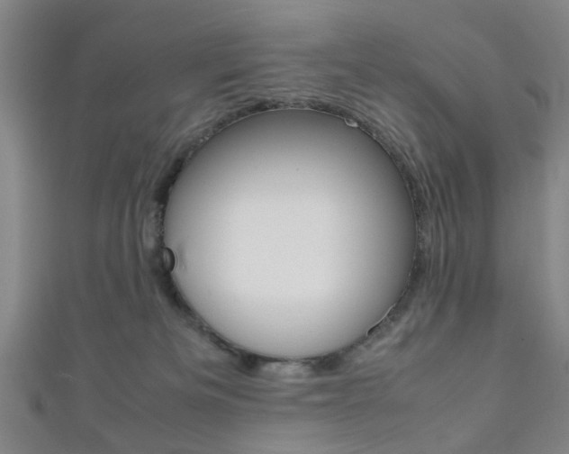 X0000111860133200907231138