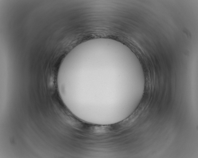 X0000111860134200907231138