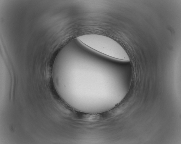 X0000111860135200907231138