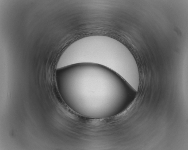 X0000111860136200907231138