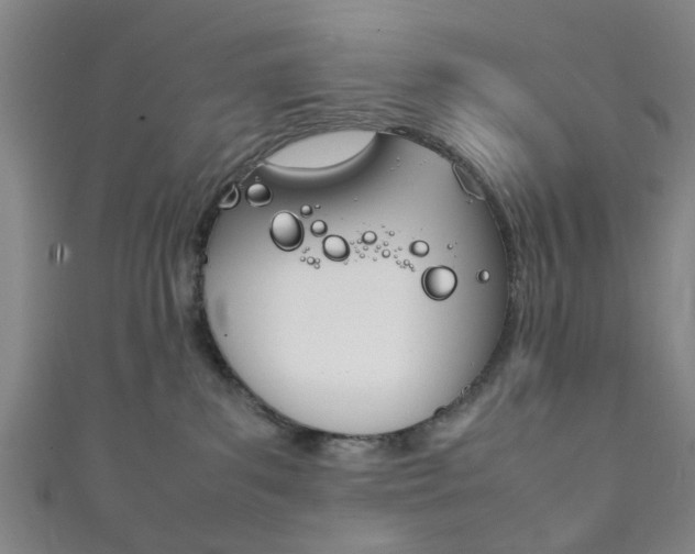 X0000111860139200907231138