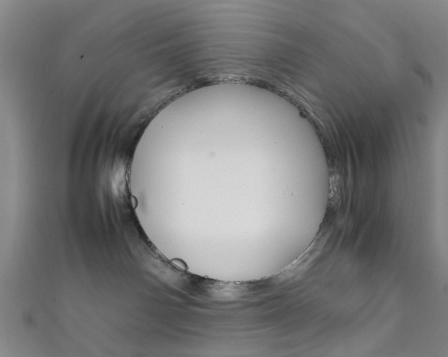 X0000111860142200907231138