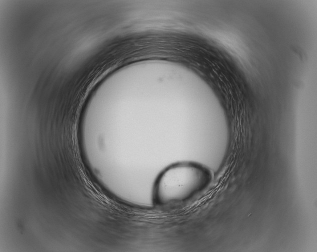 X0000111860146200907231137