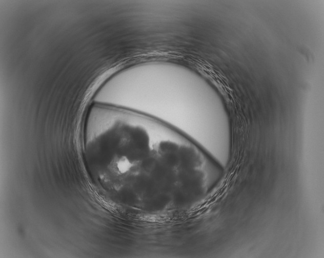 X0000111860147200907231137