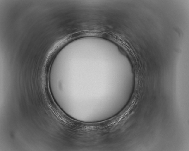 X0000111860149200907231137
