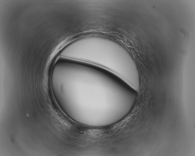 X0000111860150200907231137