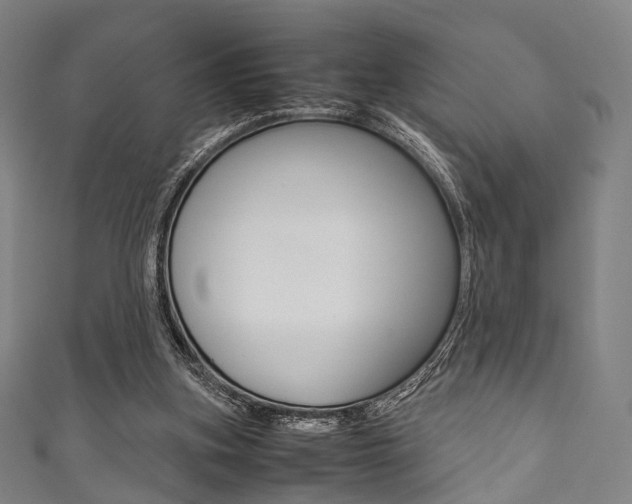 X0000111860155200907231137