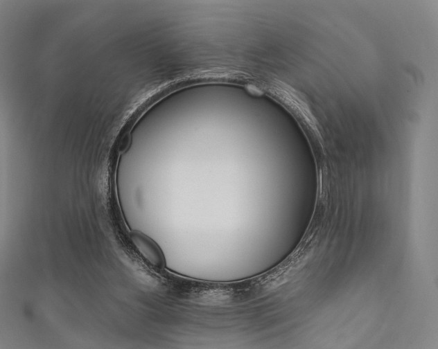 X0000111860156200907231137