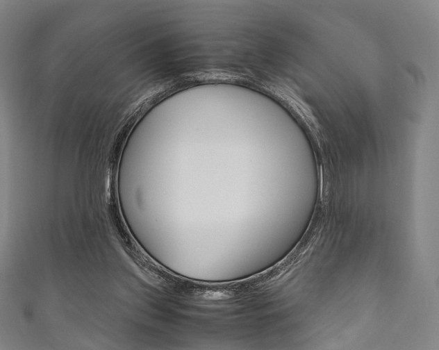 X0000111860157200907231137