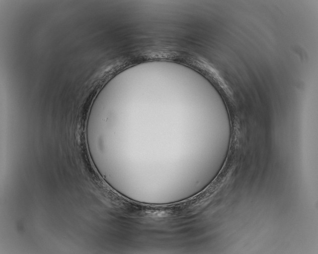 X0000111860161200907231138