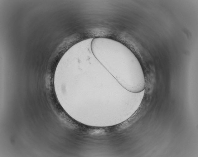 X0000111860162200907231138