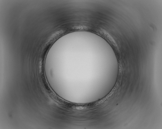 X0000111860163200907231138