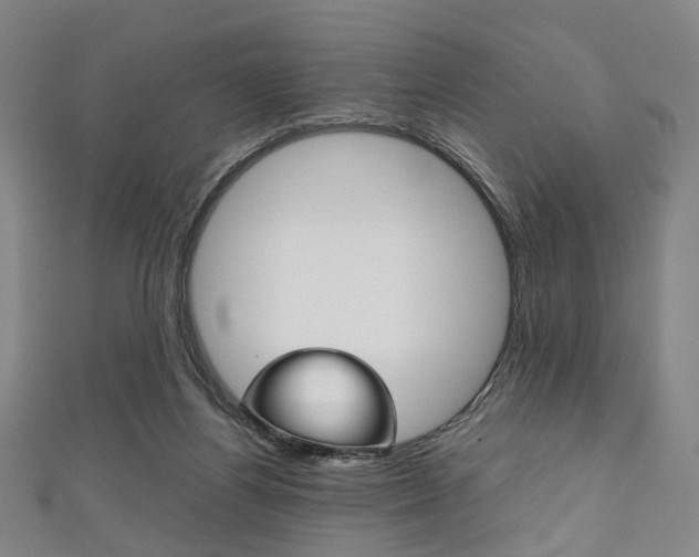 X0000111860164200907231138