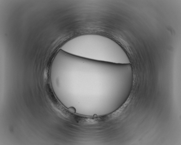 X0000111860166200907231138