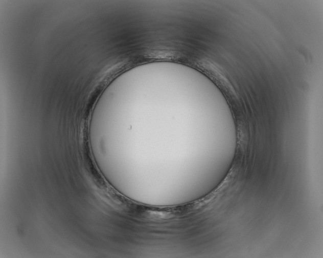 X0000111860167200907231138