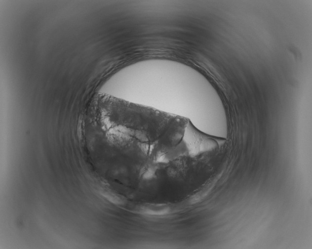 X0000111860169200907231138
