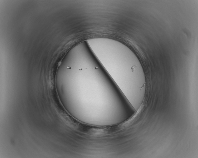 X0000111860170200907231138