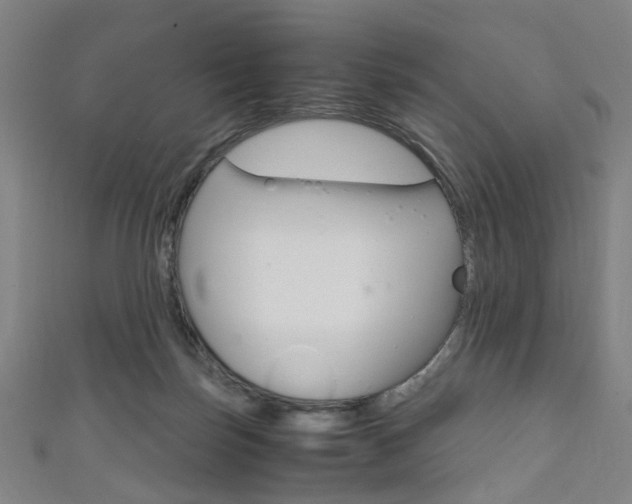 X0000111860171200907231138