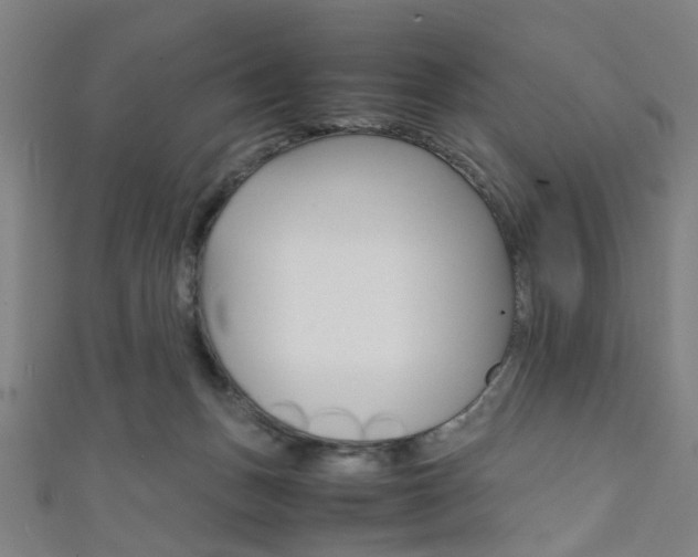 X0000111860175200907231138
