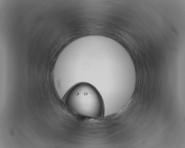 X0000111860180200907231138