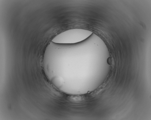 X0000111860181200907231138