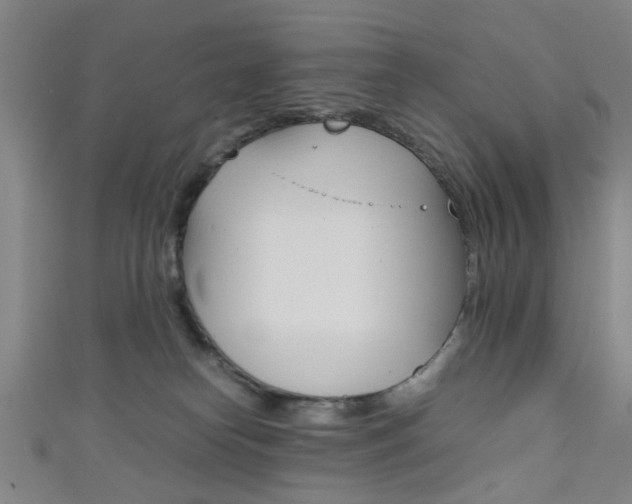 X0000111860182200907231138