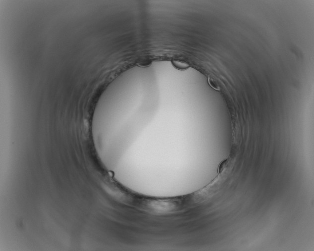 X0000111860183200907231138