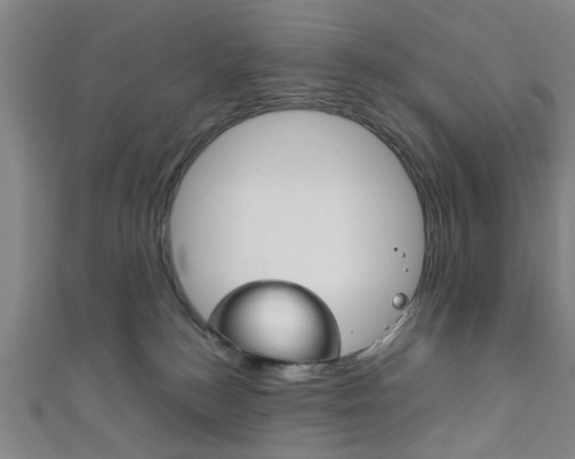 X0000111860184200907231138