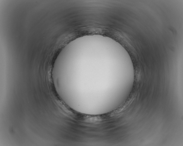 X0000111860185200907231138