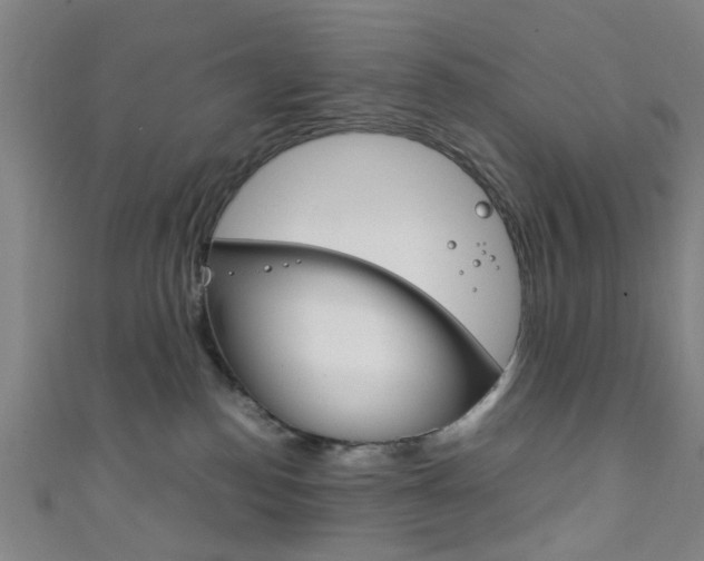 X0000111860186200907231138