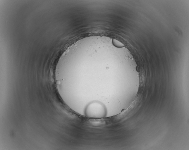 X0000111860187200907231138