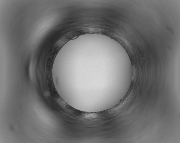 X0000111860189200907231138