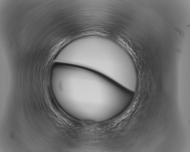 X0000111860193200907231137
